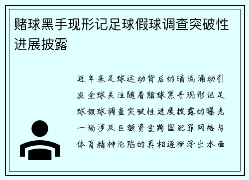 赌球黑手现形记足球假球调查突破性进展披露