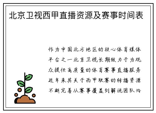 北京卫视西甲直播资源及赛事时间表